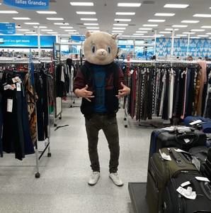 Meet your Posher, David